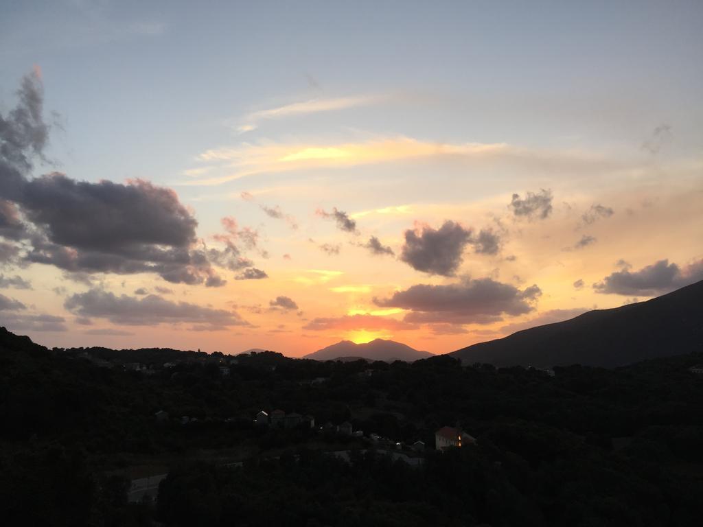 Le Gite Radica Eccica-Suarella  Oda fotoğraf